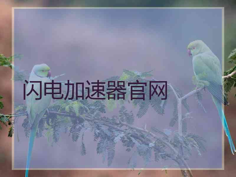 闪电加速器官网