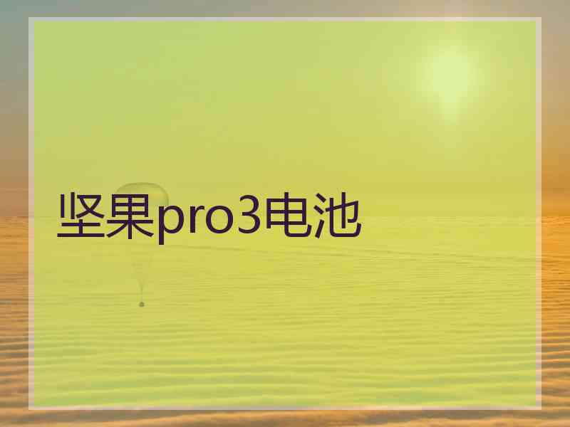 坚果pro3电池