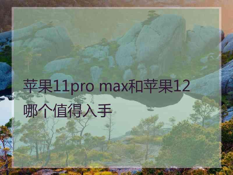 苹果11pro max和苹果12哪个值得入手