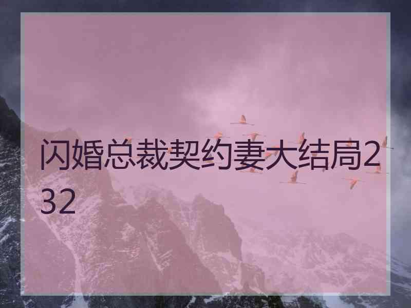 闪婚总裁契约妻大结局232