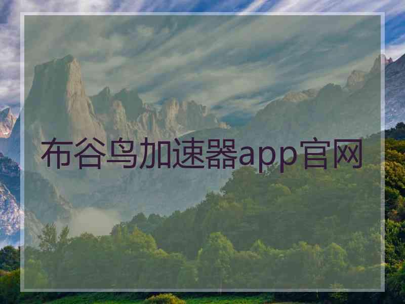 布谷鸟加速器app官网