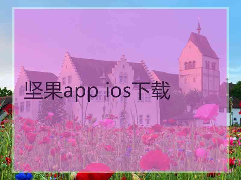 坚果app ios下载