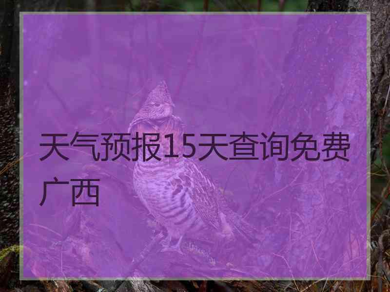 天气预报15天查询免费广西