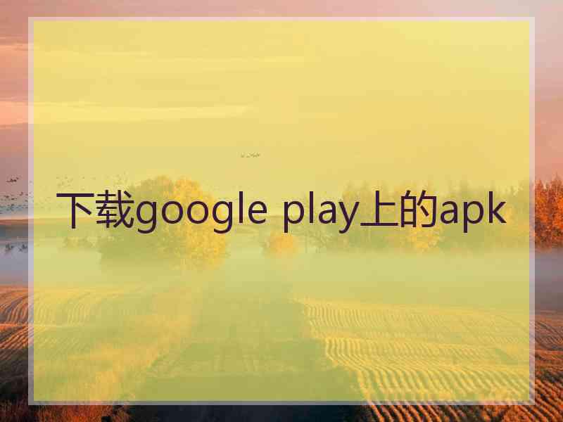 下载google play上的apk