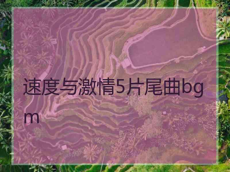 速度与激情5片尾曲bgm