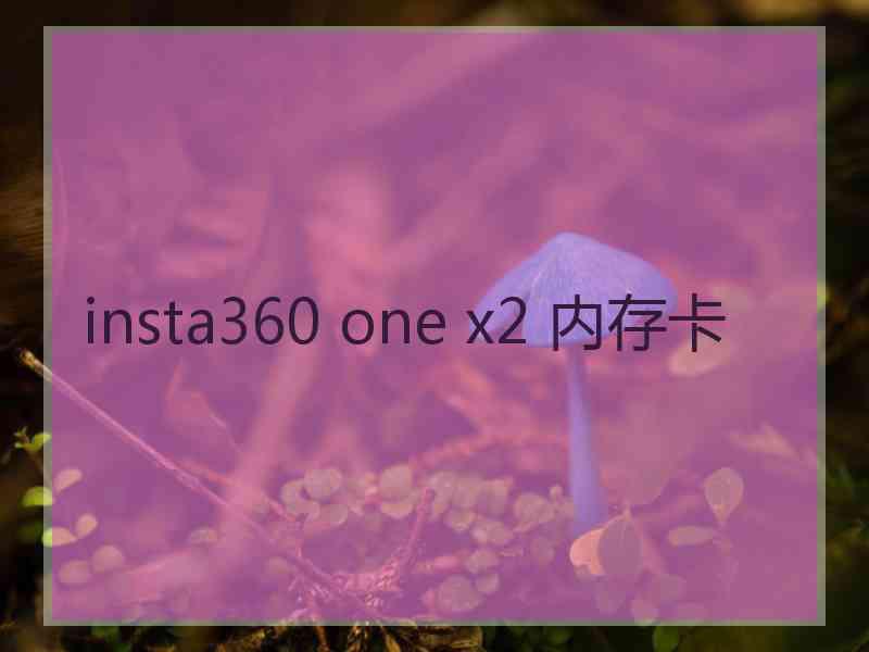 insta360 one x2 内存卡