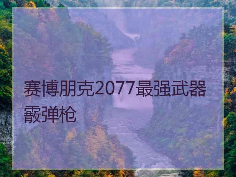 赛博朋克2077最强武器霰弹枪