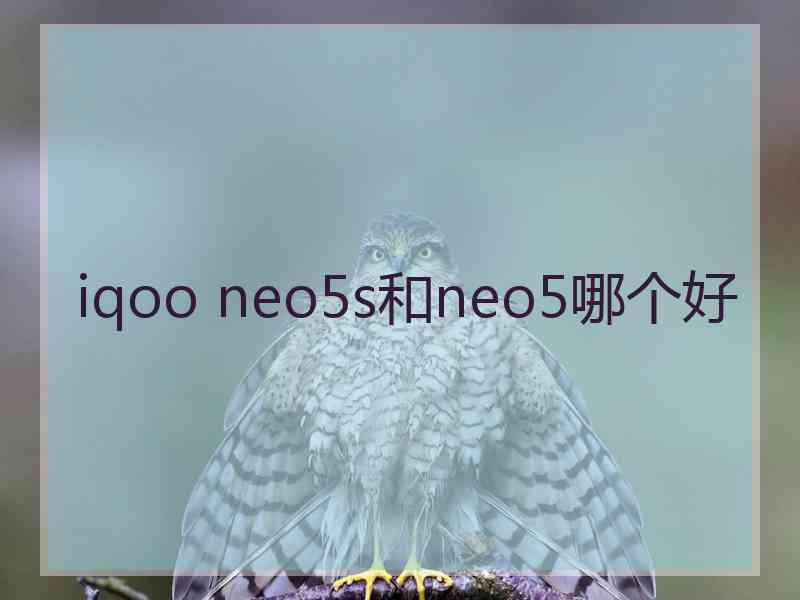 iqoo neo5s和neo5哪个好