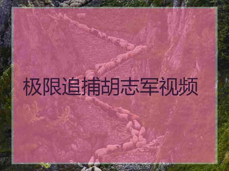 极限追捕胡志军视频