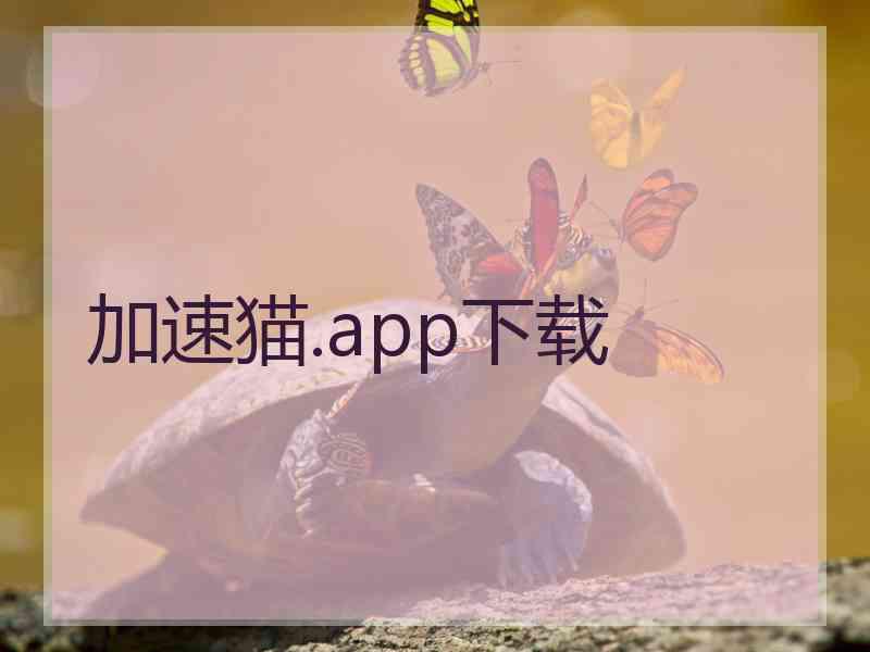 加速猫.app下载