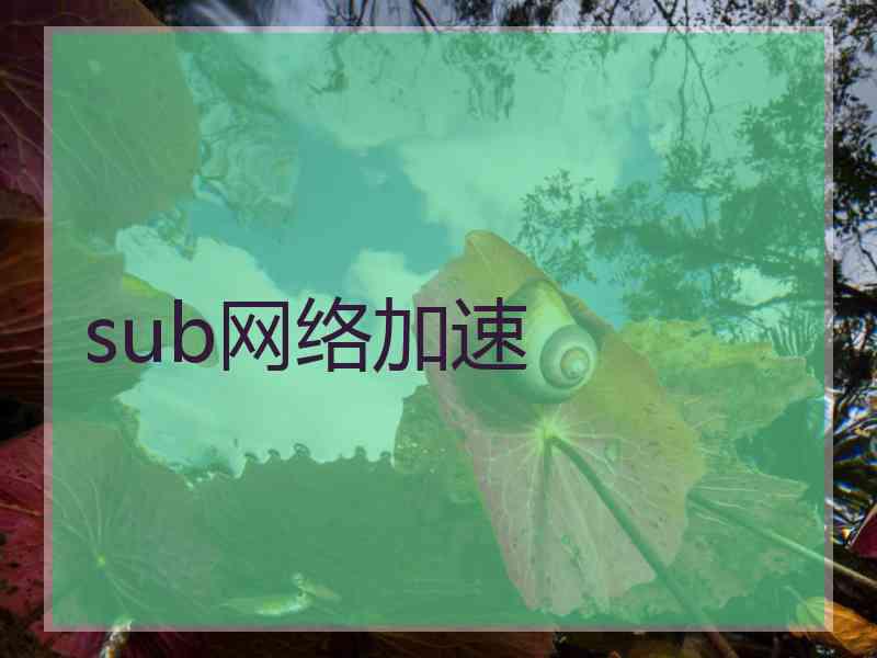 sub网络加速