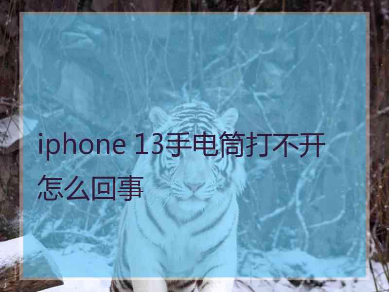 iphone 13手电筒打不开怎么回事