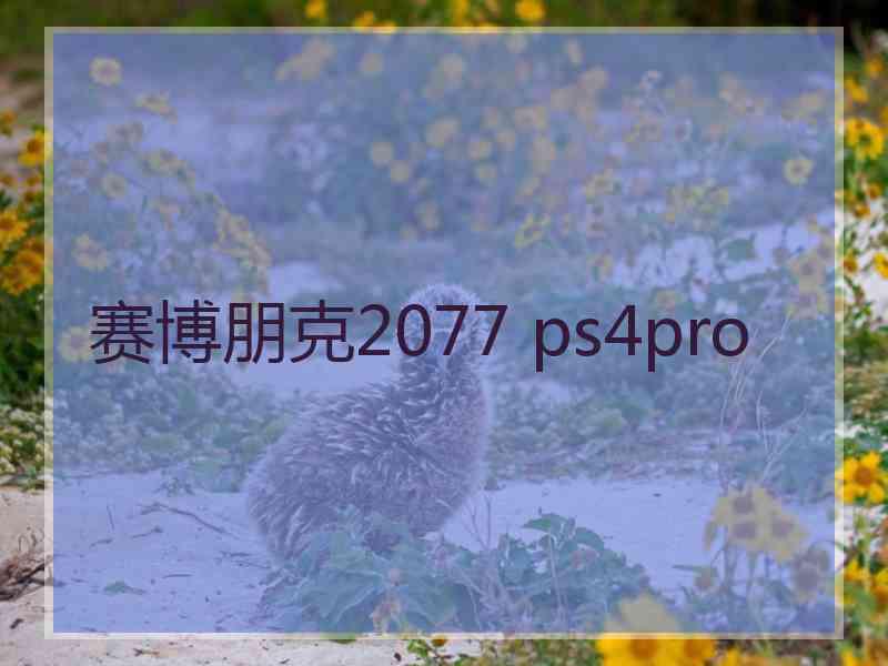 赛博朋克2077 ps4pro