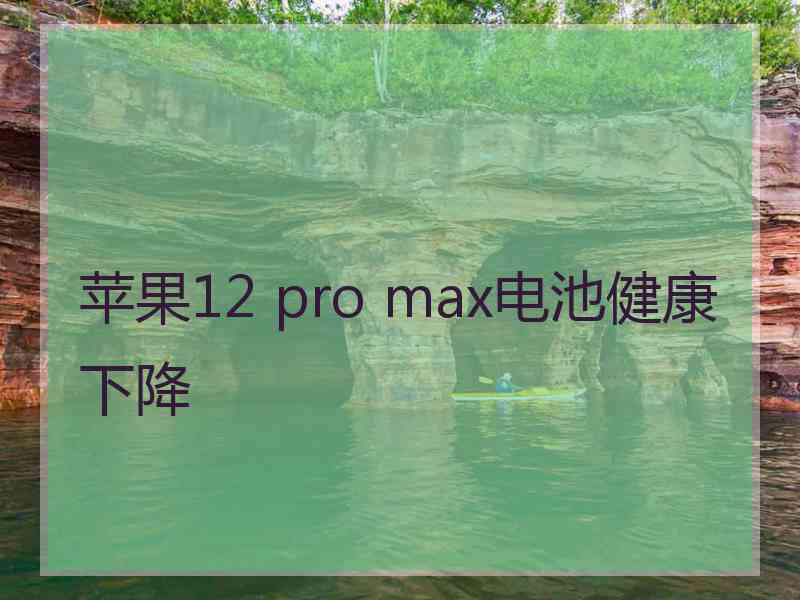 苹果12 pro max电池健康下降