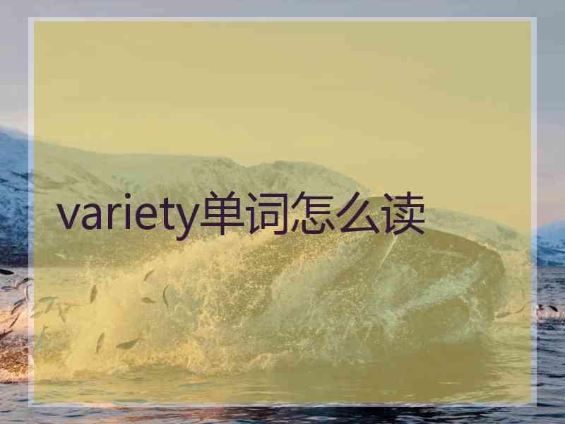 variety单词怎么读