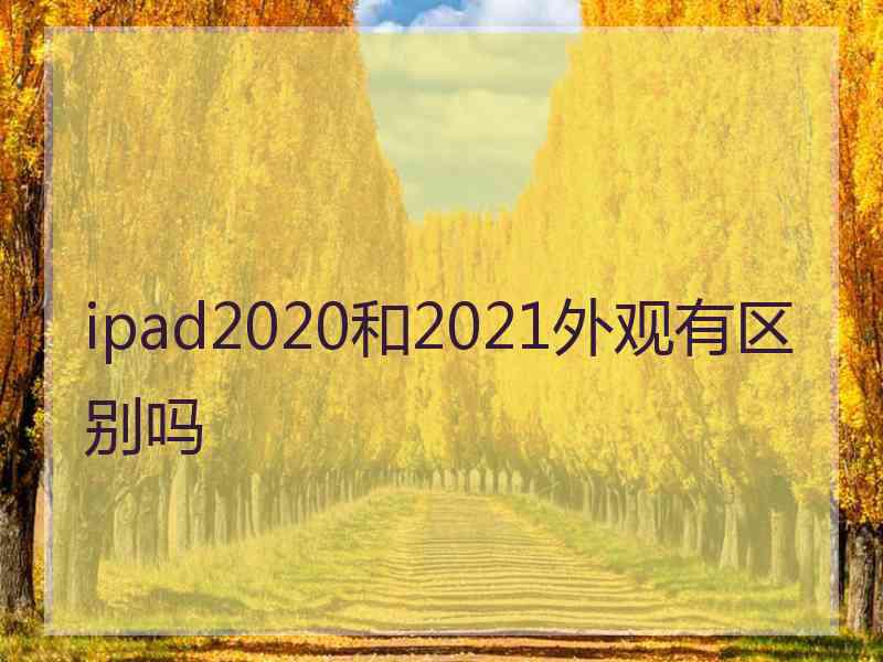 ipad2020和2021外观有区别吗