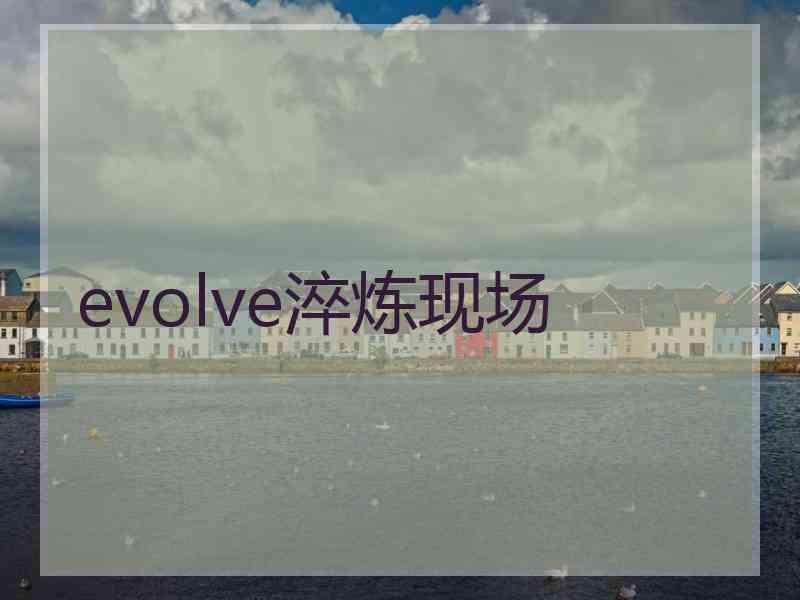 evolve淬炼现场