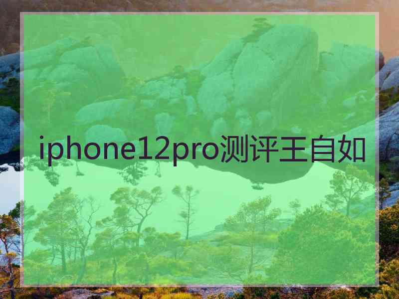 iphone12pro测评王自如