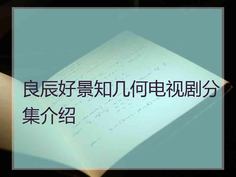 良辰好景知几何电视剧分集介绍