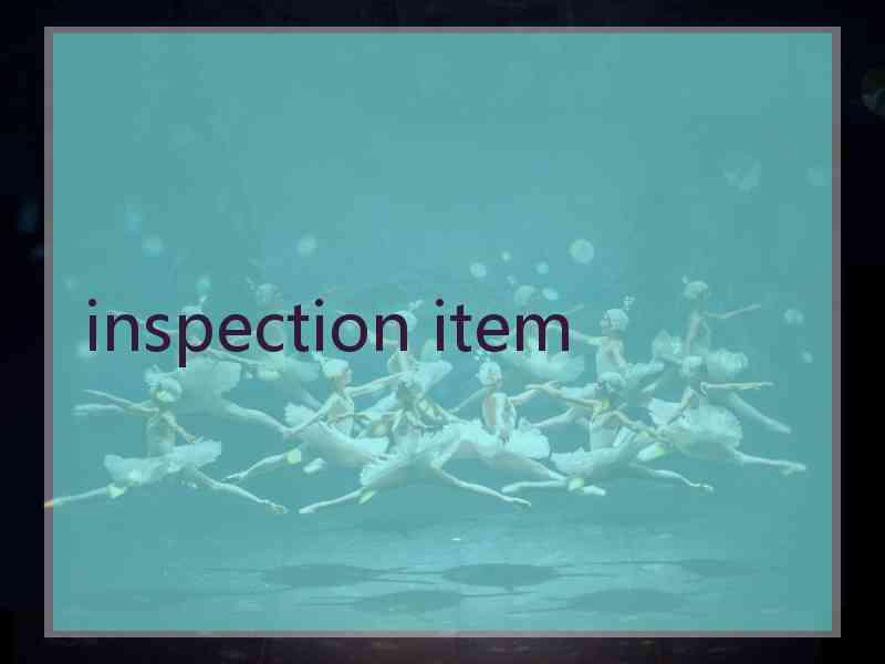 inspection item