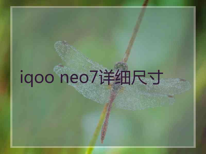 iqoo neo7详细尺寸