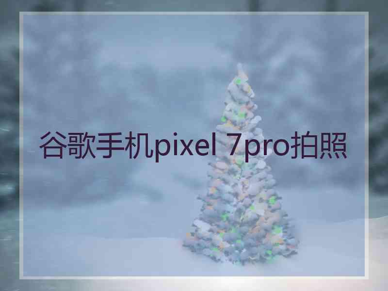 谷歌手机pixel 7pro拍照