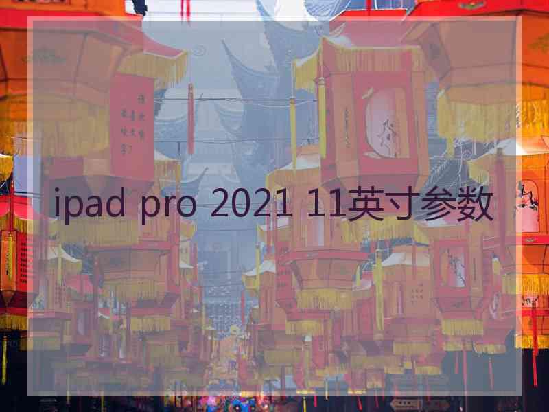 ipad pro 2021 11英寸参数