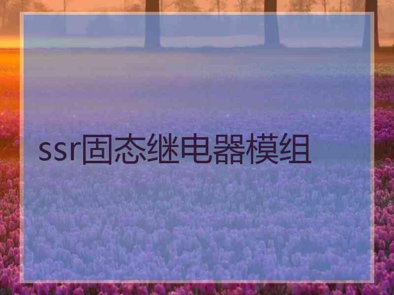 ssr固态继电器模组