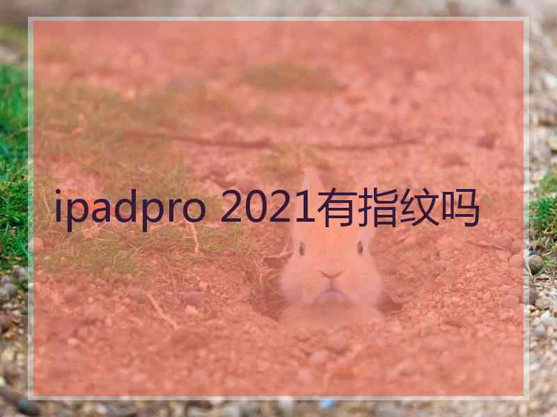 ipadpro 2021有指纹吗