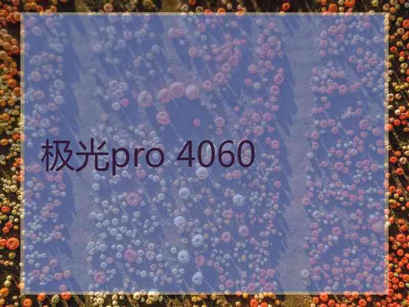 极光pro 4060