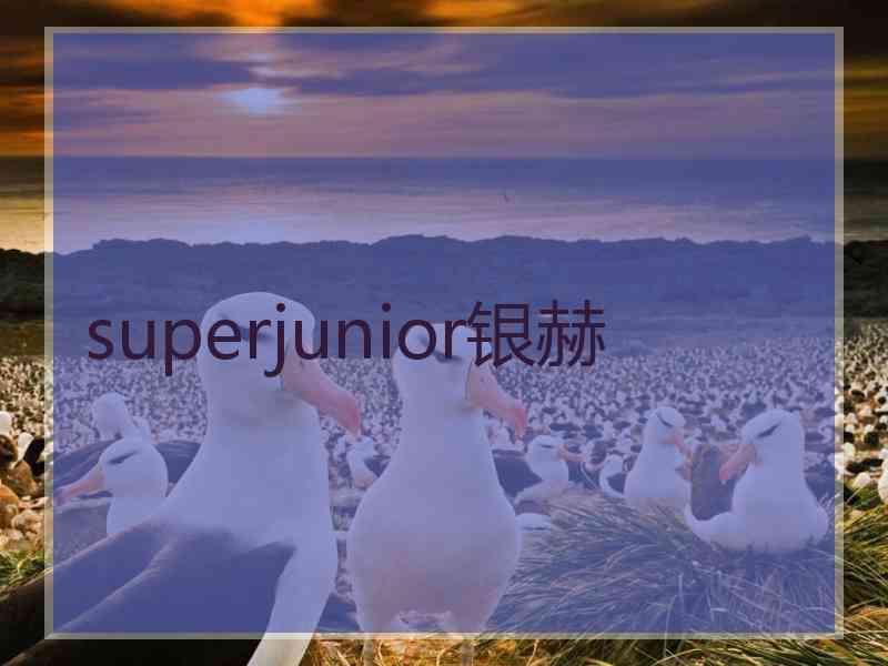 superjunior银赫