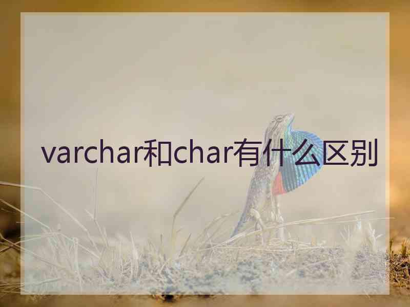 varchar和char有什么区别