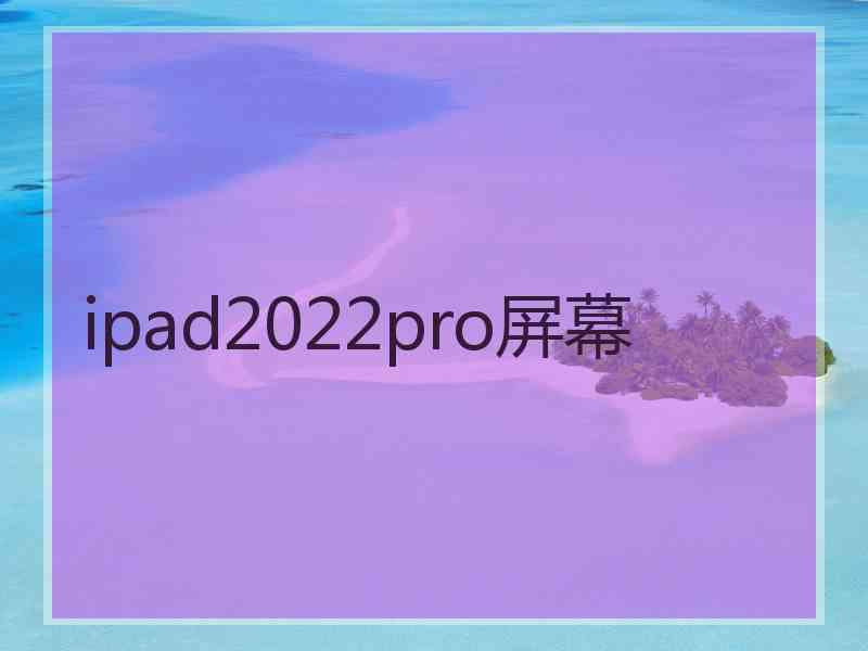 ipad2022pro屏幕