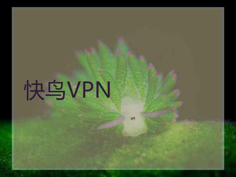 快鸟VPN