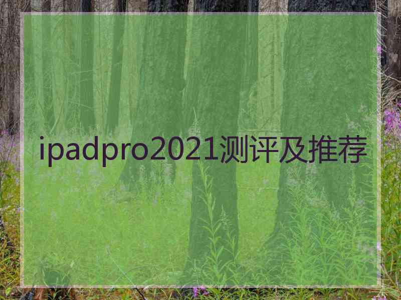 ipadpro2021测评及推荐