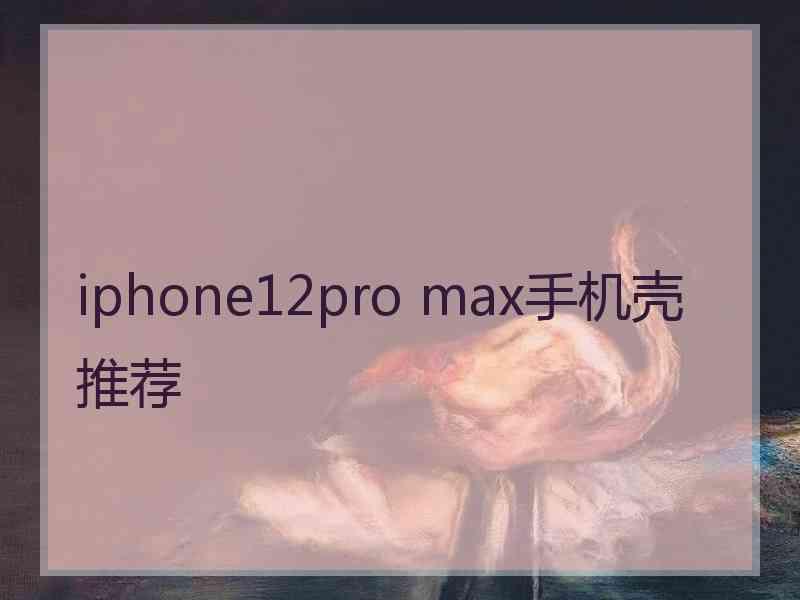 iphone12pro max手机壳推荐