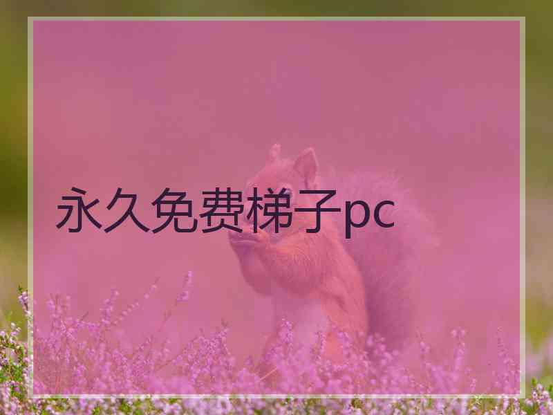 永久免费梯子pc