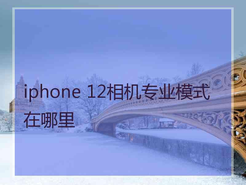 iphone 12相机专业模式在哪里