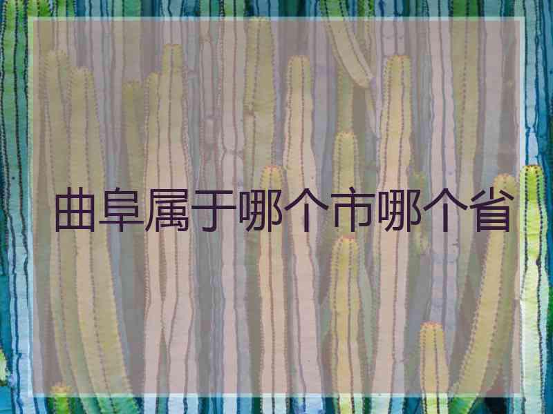 曲阜属于哪个市哪个省