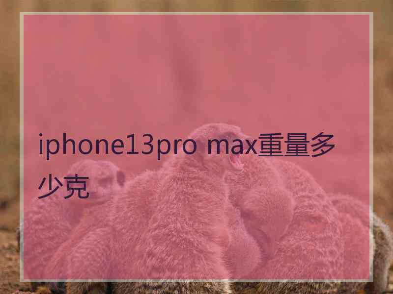 iphone13pro max重量多少克