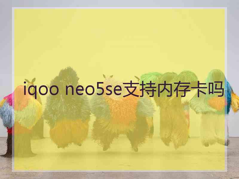 iqoo neo5se支持内存卡吗