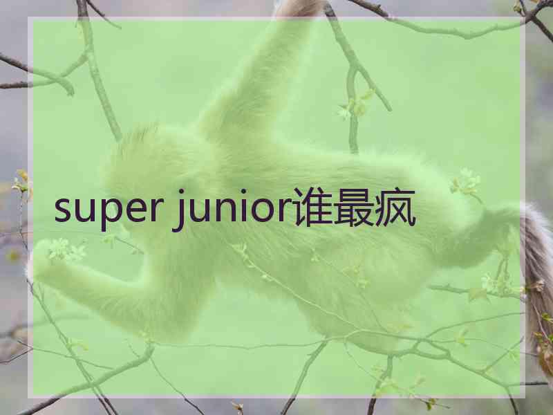 super junior谁最疯