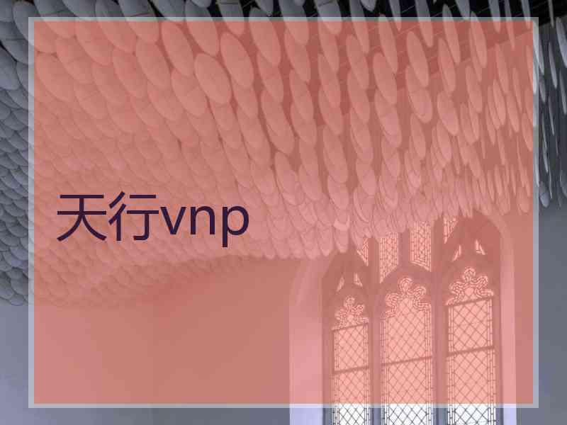 天行vnp