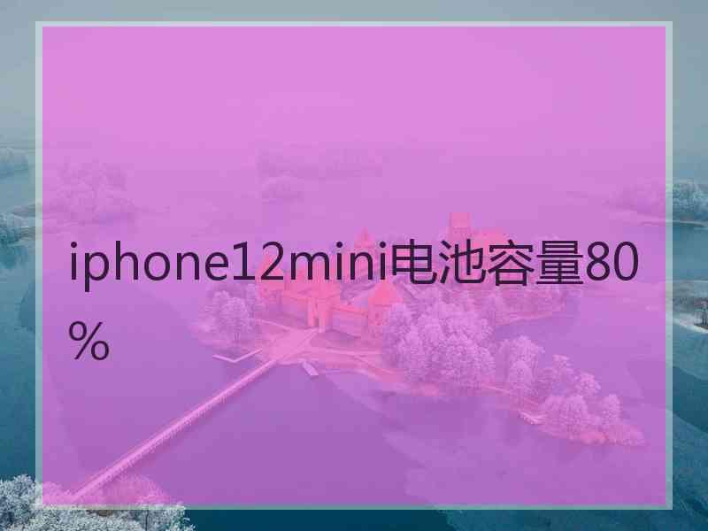 iphone12mini电池容量80%