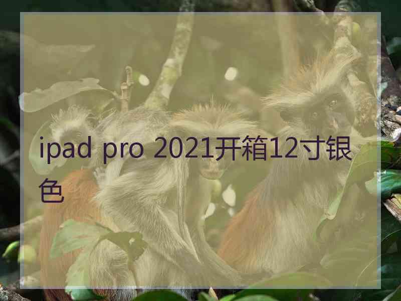 ipad pro 2021开箱12寸银色