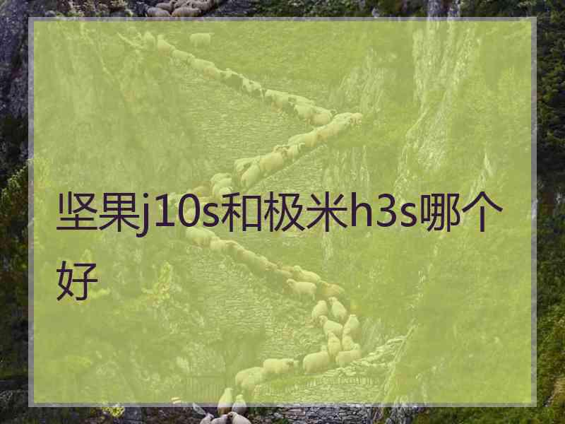 坚果j10s和极米h3s哪个好