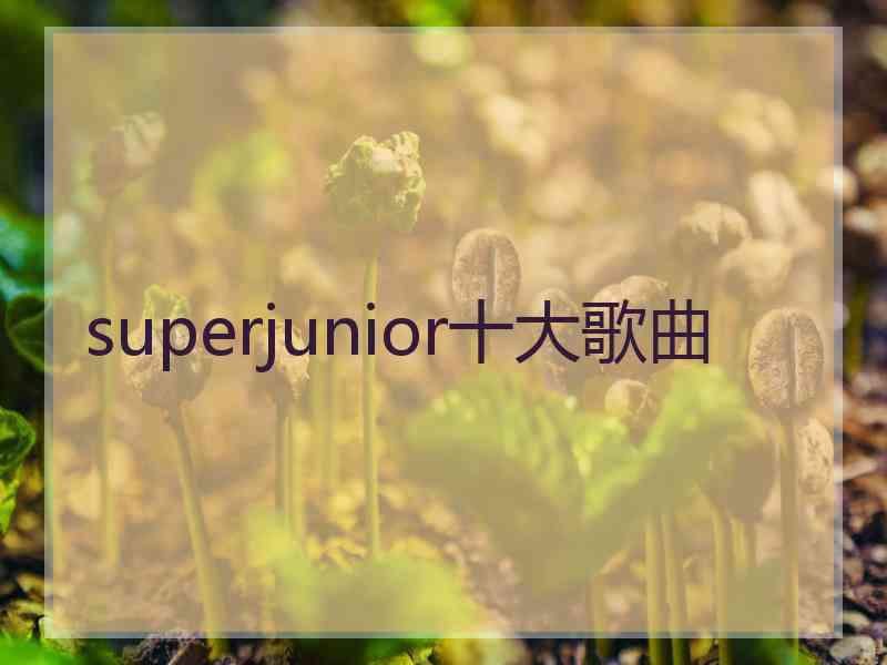 superjunior十大歌曲