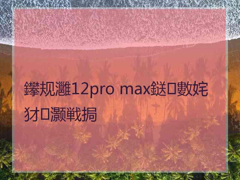 鑻规灉12pro max鎹㈢數姹犲灏戦挶