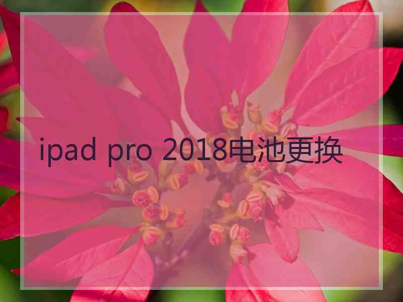 ipad pro 2018电池更换