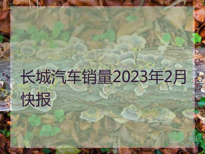 长城汽车销量2023年2月快报